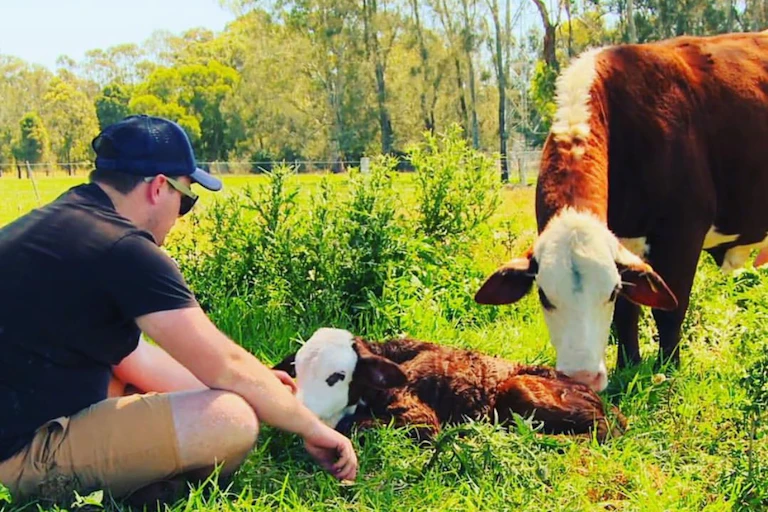 A man sits on the grass with a cow and her calf.