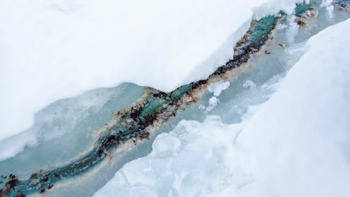 Antarctica’s sea ice is changing, and so is a vital part of the marine food web that lives within it