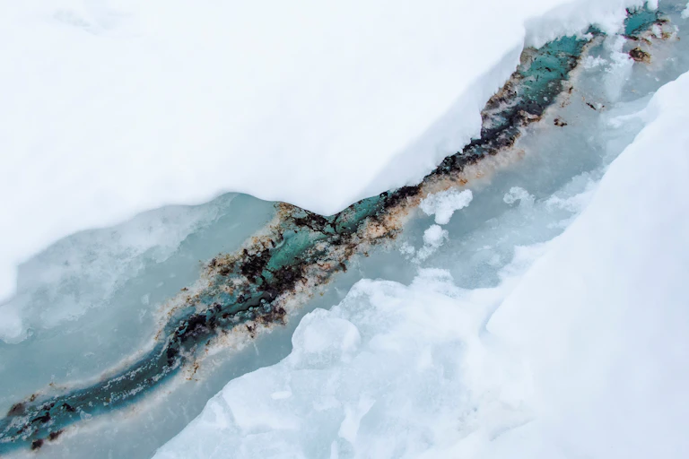 Microalgae growing in a sea ice crack. Cape Evans, McMurdo Sound