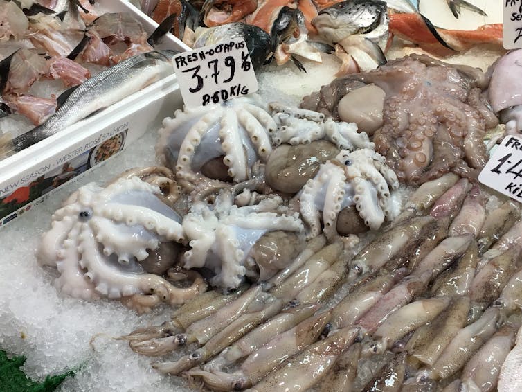 Octopus in a fish market stall.