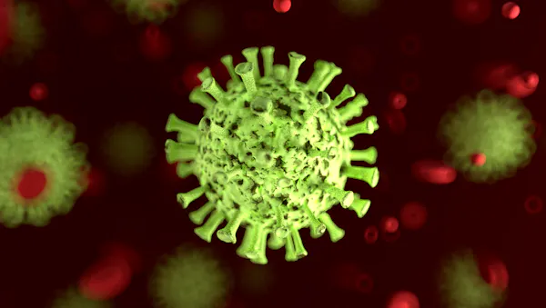 An illustration of SARS-CoV-2, the virus that causes COVID.