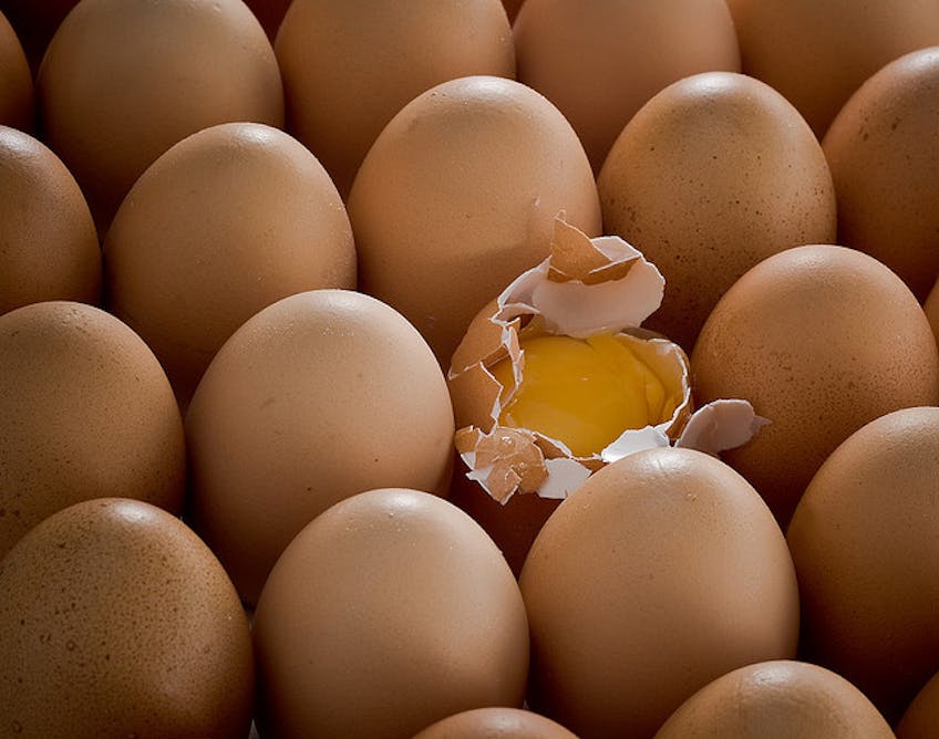 Яйца картинки для презентации. Три яйца картинка. Картинка яйцо интересная картинка.