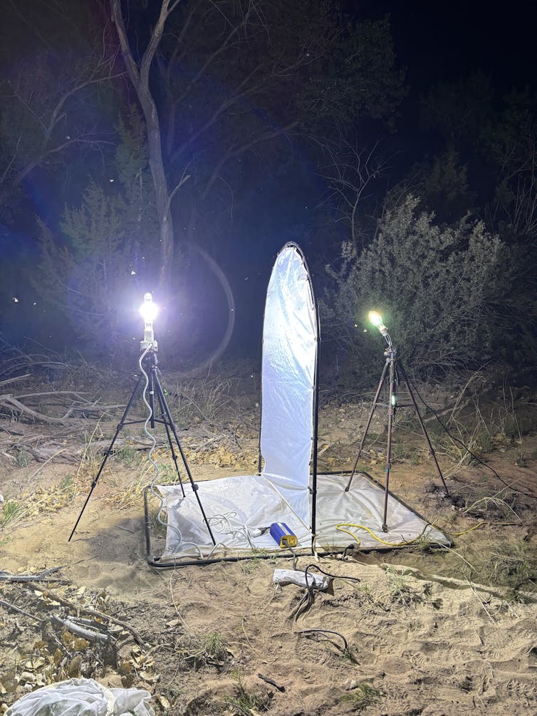 Two lights on tripods shine on either side of a white pop-up sheet.