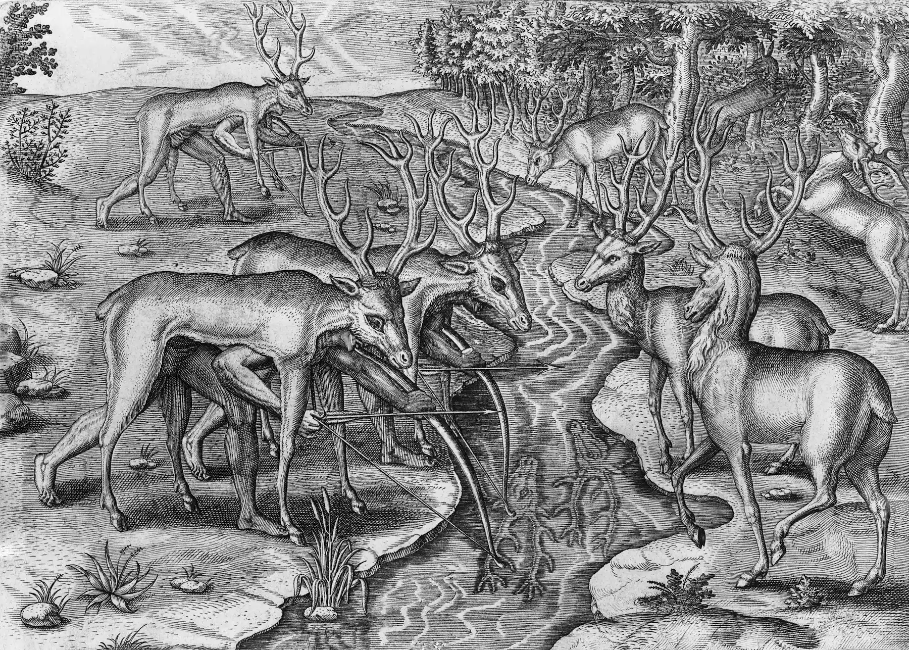 First Deer Rituals The rise and fall – and rise again – of white-tailed deer - Smore Science