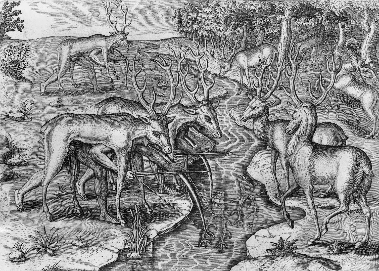 The Rising Deer The rise and fall – and rise again – of white-tailed deer - Smore Science