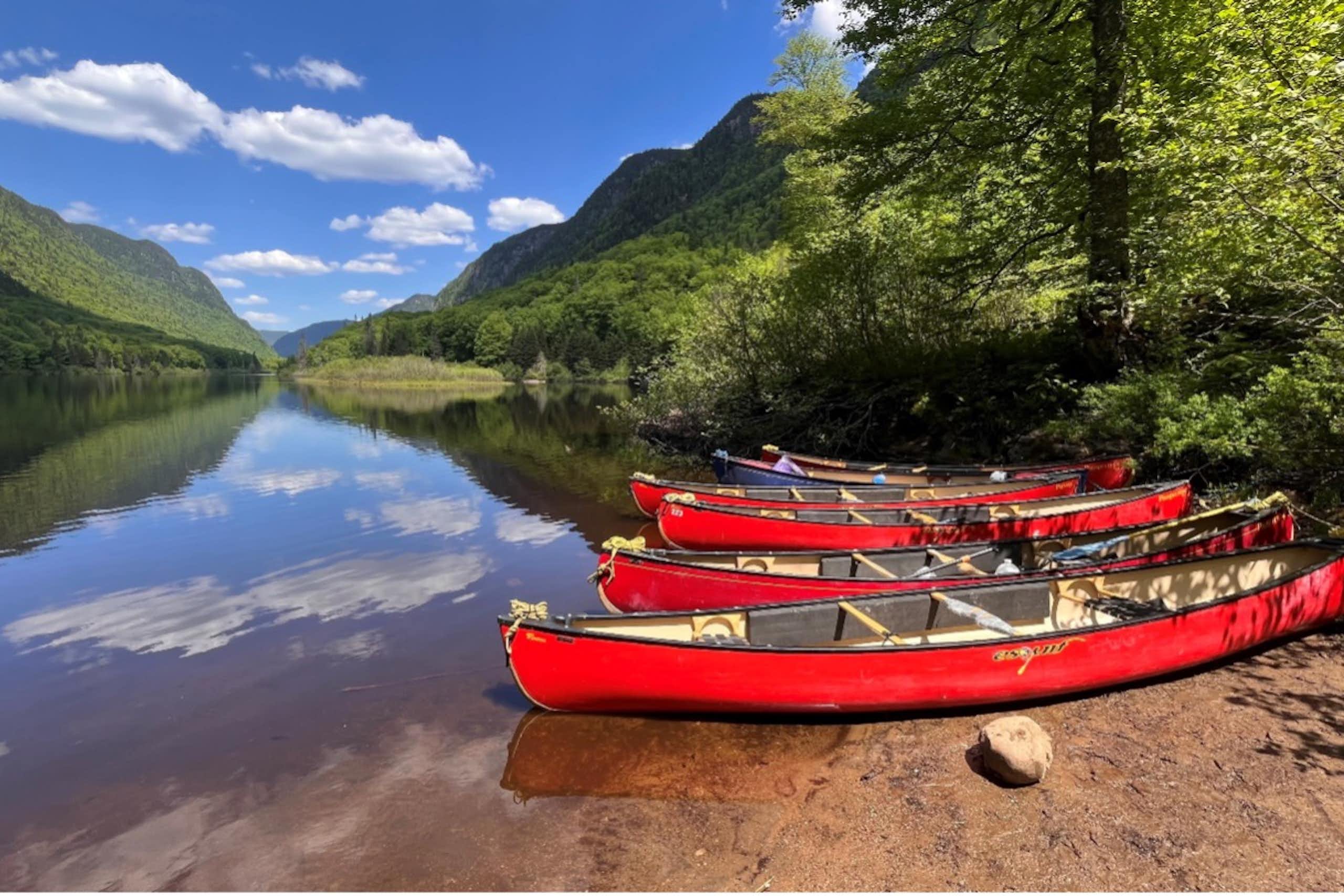 Les eaux de nos rivières se réchauffent et ce n’est pas sans conséquence pour les poissons