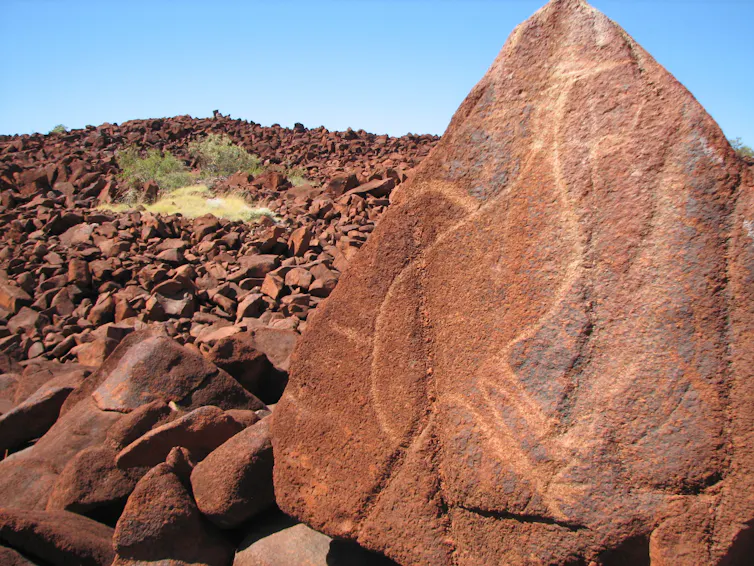 A picture of an emu on a red rock.