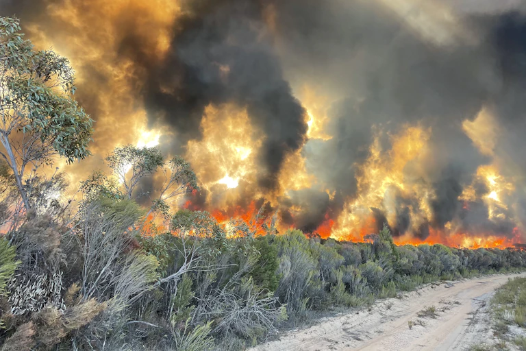 Bushfire smoke billows across Little Desert National Park, west of Horsham, Victoria, on Thursday, January 30, 2025.