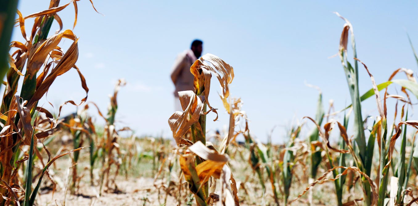 Climate change: no reprieve from heat this decade as globally agreed 1. ...