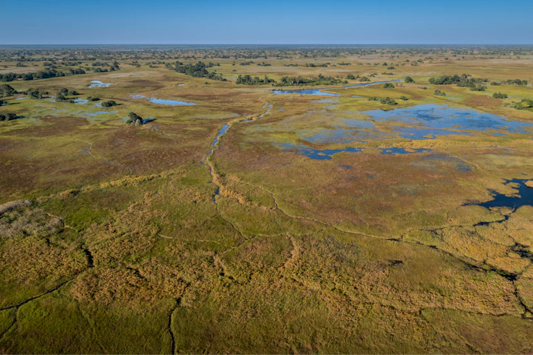 Aerial view of the Okavango Delta in north-west Botswana, overlooking marshlands and seasonally flooded plains.