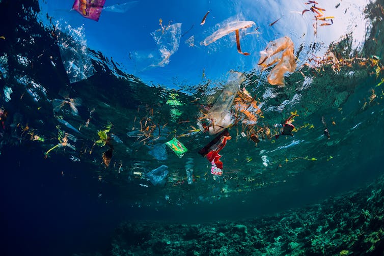underwater photo of plastic floating in water
