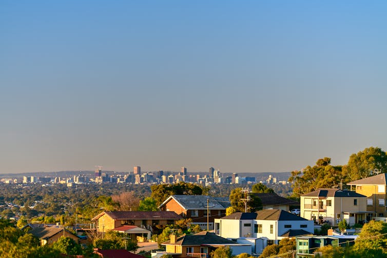 houses in front of the Adelaide central business district