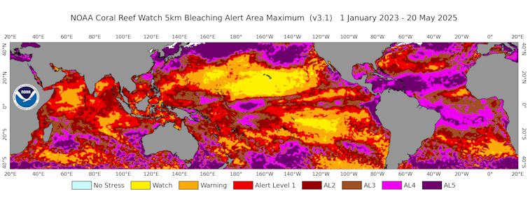 Coral overheating: Are we able to nonetheless save them? 1 A global ocean card indicating shades of color levels on coral