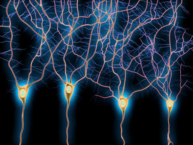 Memories of the good parts of using drugs can keep people hooked − altering the neurons that store them could help treat addiction