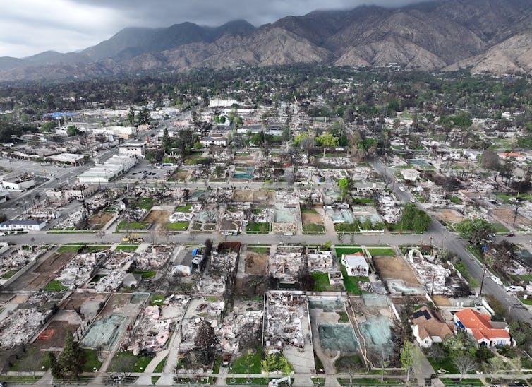 A view across Altadena with some burned homes, others unburned, but bright green trees and shrubs among the burned properties. Photo taken Feb. 5, 2025.