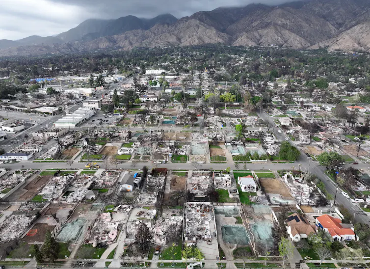A view across Altadena with some burned homes, others unburned, but bright green trees and shrubs among the burned properties. Photo taken Feb. 5, 2025.