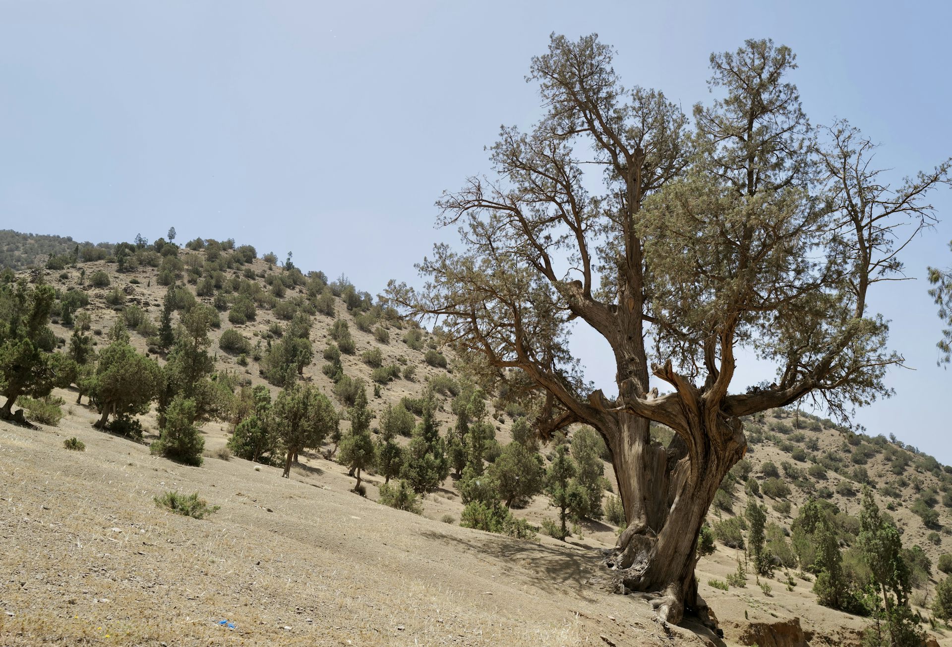 file 20250531 56 zpki3w.JPG?ixlib=rb 4.1