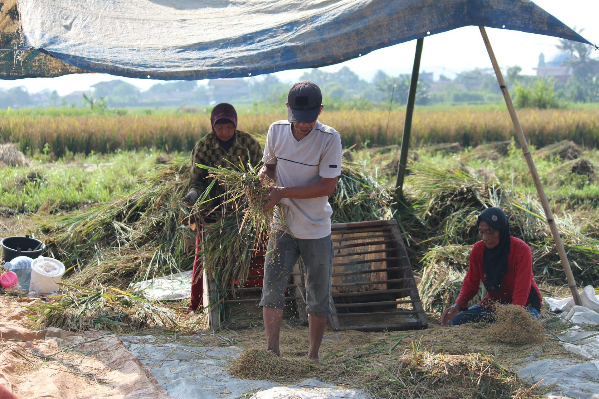 Model bisnis koperasi merah putih diharapkan disesuaikan dengan kebutuhan masyarakat setempat