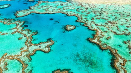 Will surging sea levels kill the Great Barrier Reef? Ancient coral fossils may hold the answer