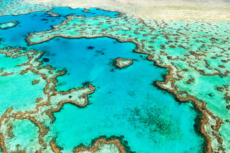 An aerial view of a coral reef in turquoise water.