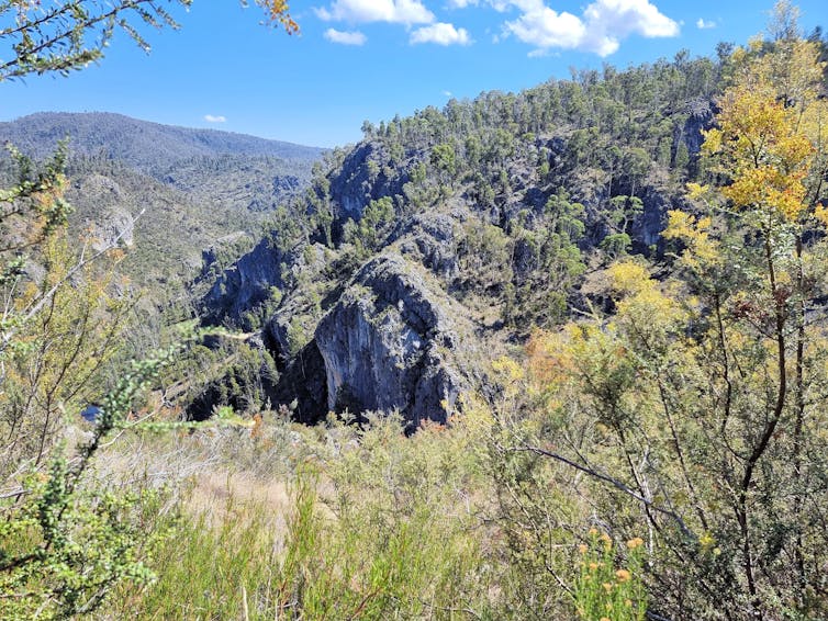 bushland and caves in NSW