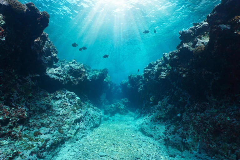 seabed rocky canyon