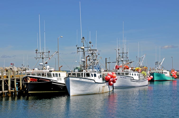 fishing boats in a harbour
