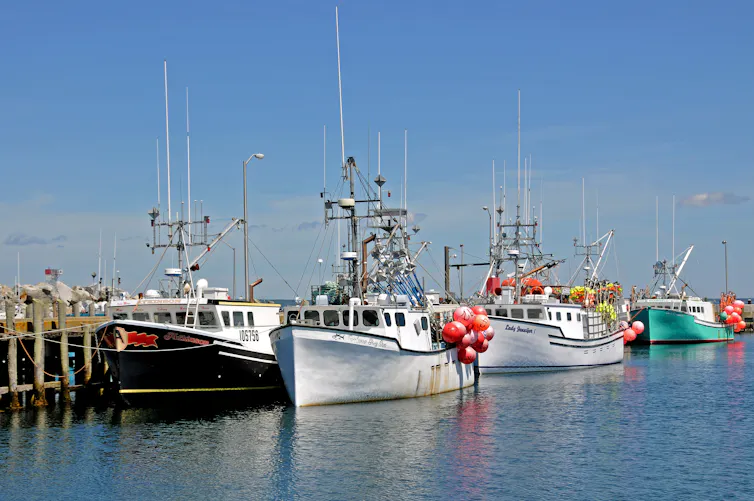 fishing boats in a harbour