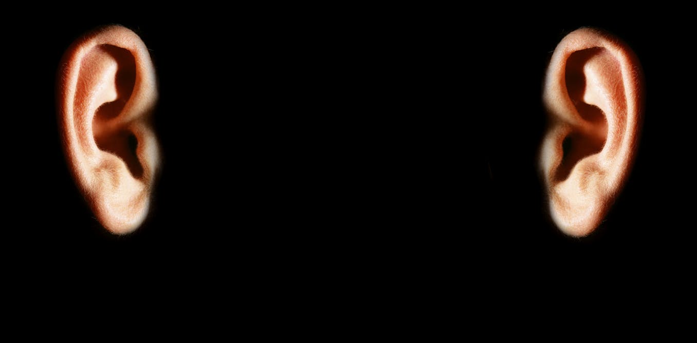 Your left and right brain hear language differently − a neuroscientist explains how