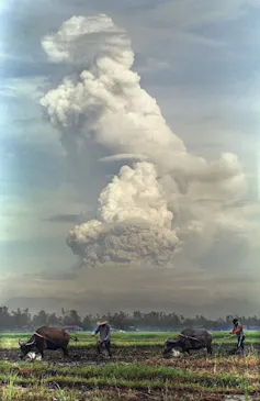 Photo d’un nuage de cendres sortant d’un volcan, avec des champs au premier plan