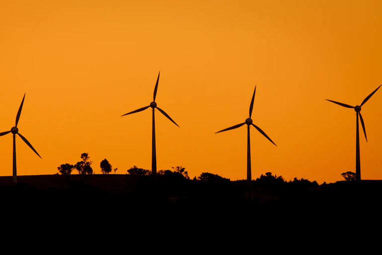 wind farm in sunset