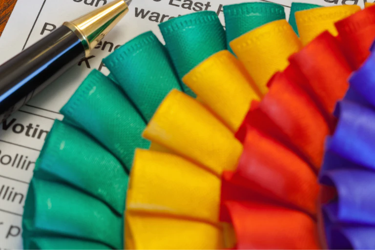 Party rosettes and voting paper
