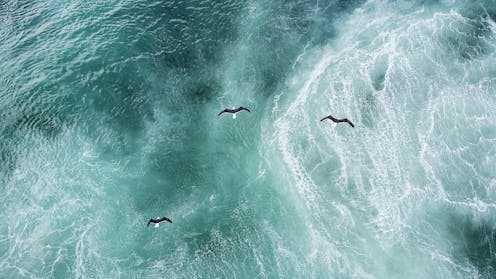 Unprecedented heat in the North Atlantic Ocean kickstarted Europe’s hellish 2023 summer. Now we know what caused it
