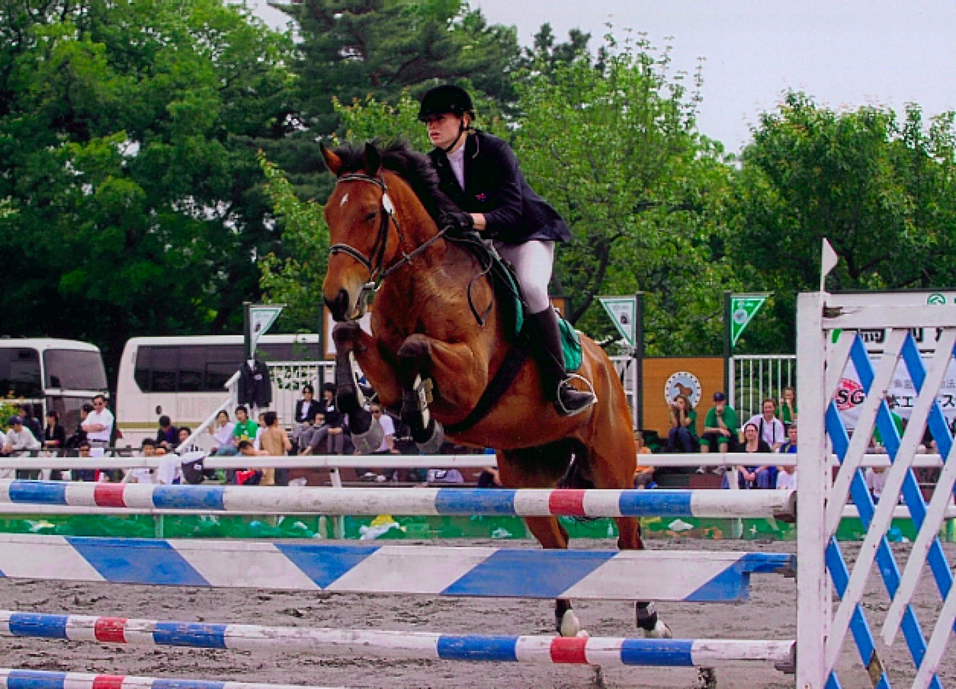 rhodes aspirations angie