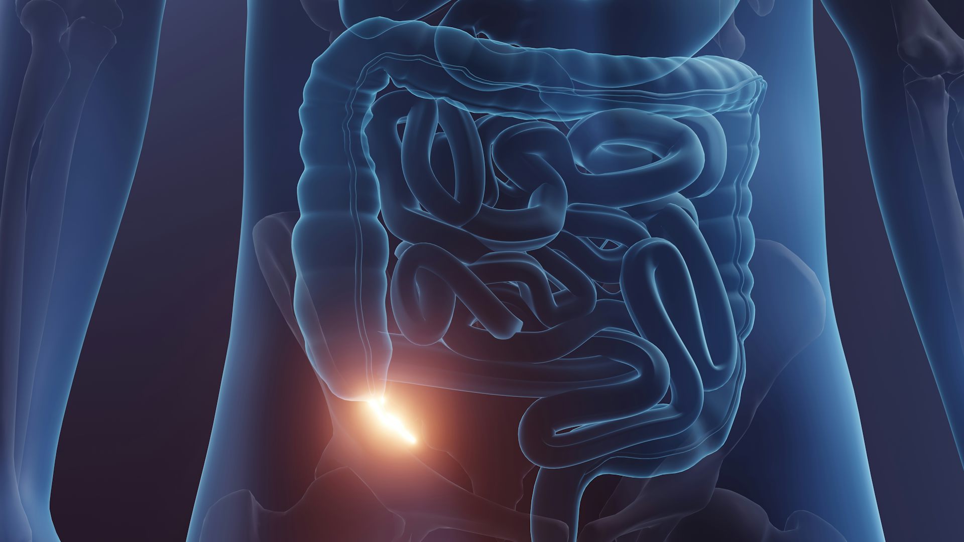 El apéndice no es un órgano tan inútil como pensábamos, image size:1536x1024