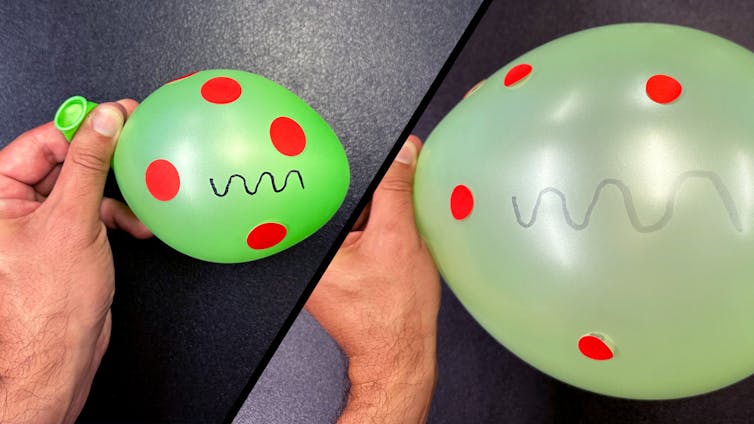 split screen of a green balloon with red dots and a squiggle on the surface, lightly inflated and then much more blown up