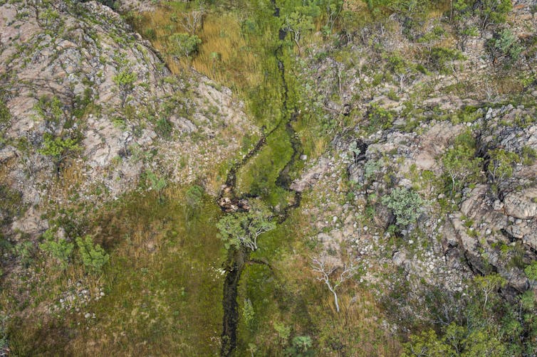 A bird's eye view of the ground featuring green leafy vegetation along waterways