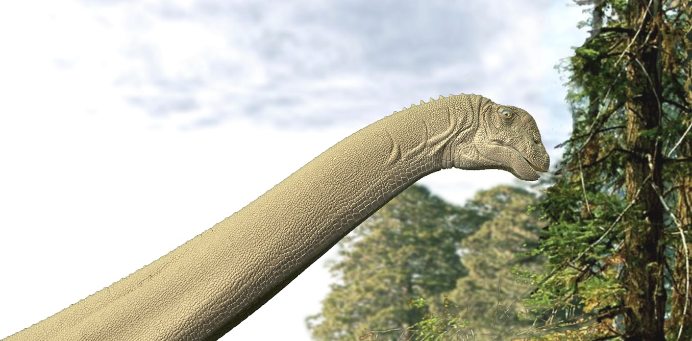 Fossil Stomach Contents of a Sauropod Dinosaur