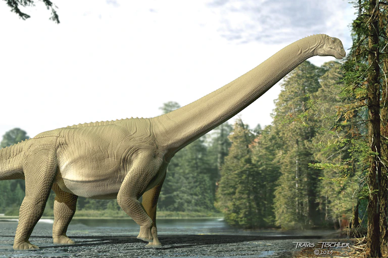 Illustration of a pale green stocky dinosaur with a long neck reaching for tree branches.