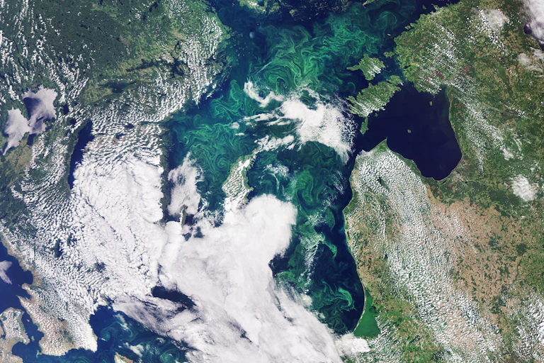 vue satellite