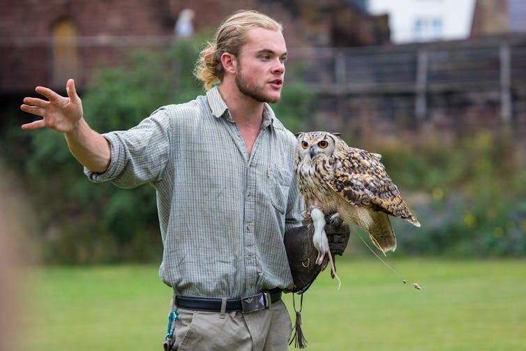 Animal handler holding an owl.