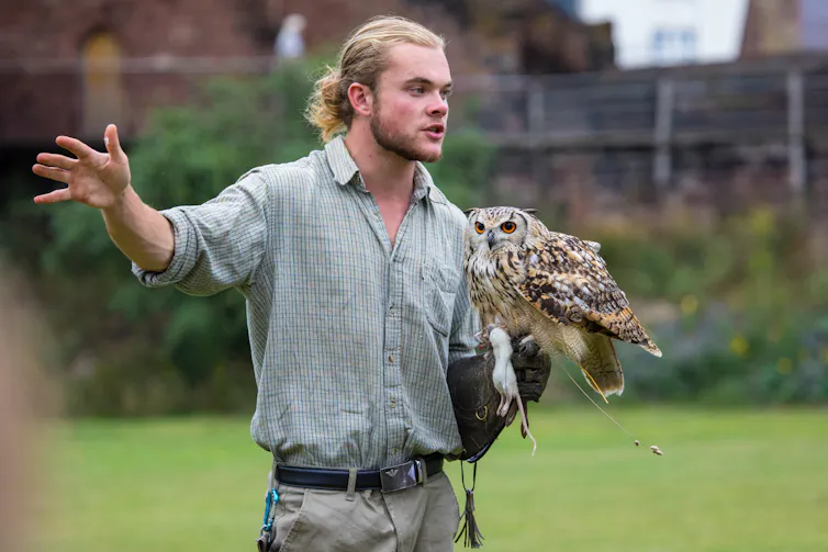 Animal handler holding an owl.