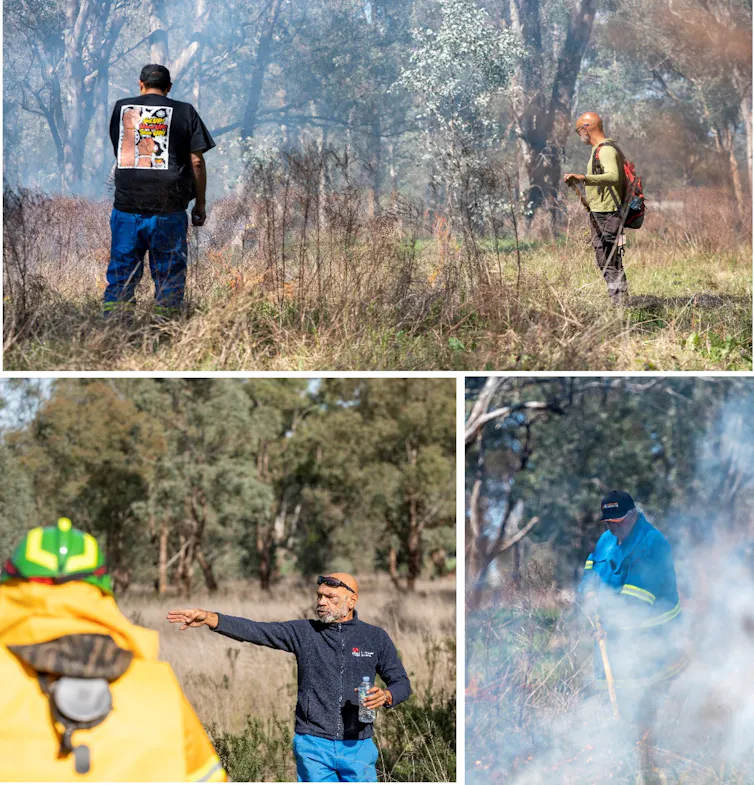 a composite of three images showing Indigenous people undertaking cultural burns in grassy landscape.