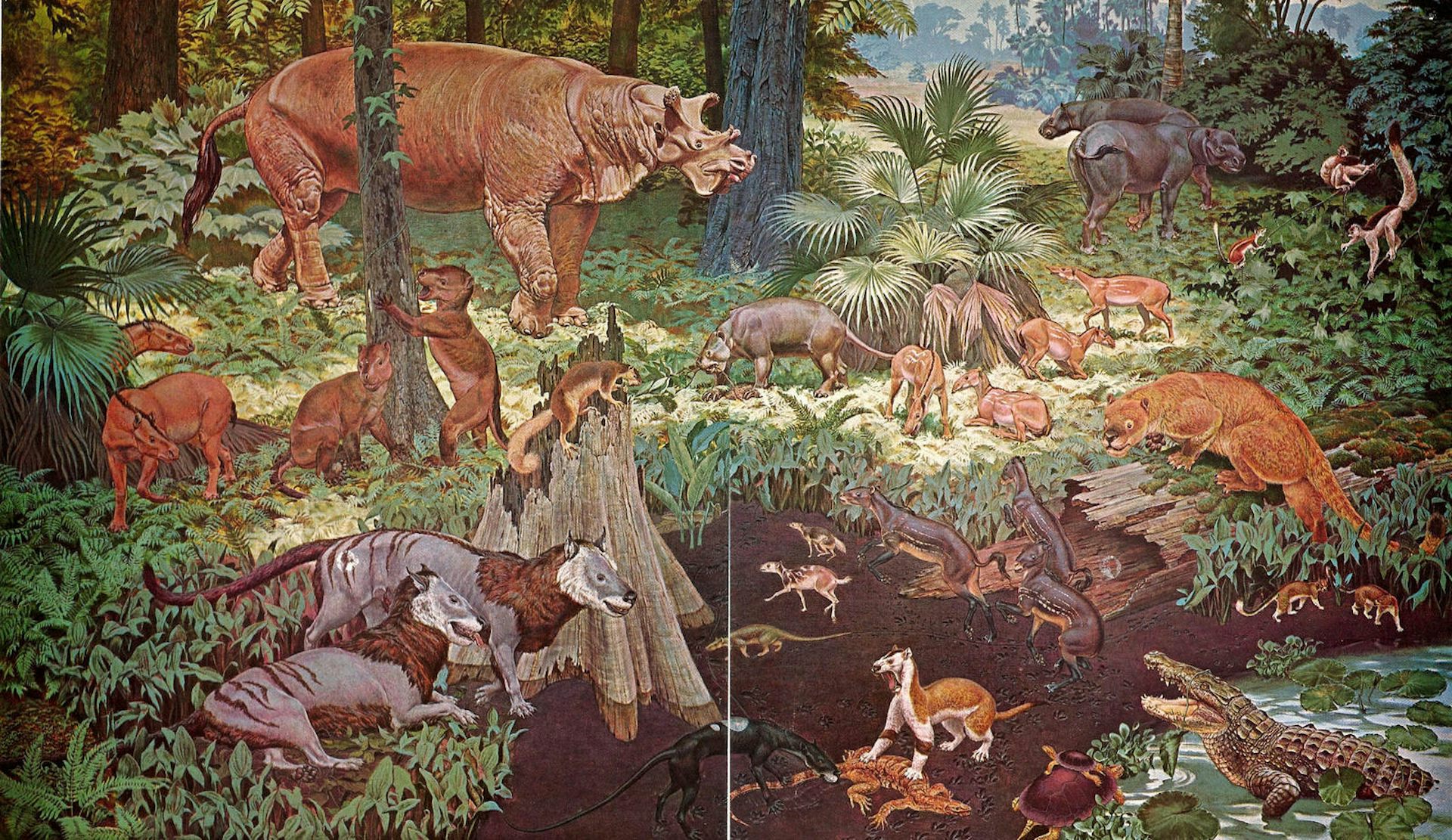 what animal s have been around for millions of years