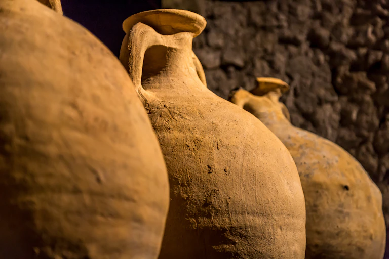 Wine amphorae.