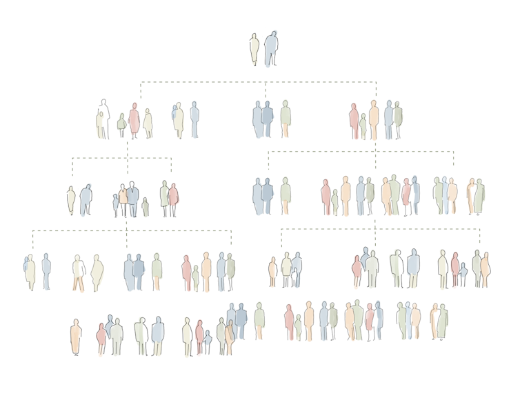 A graphic of a family tree.