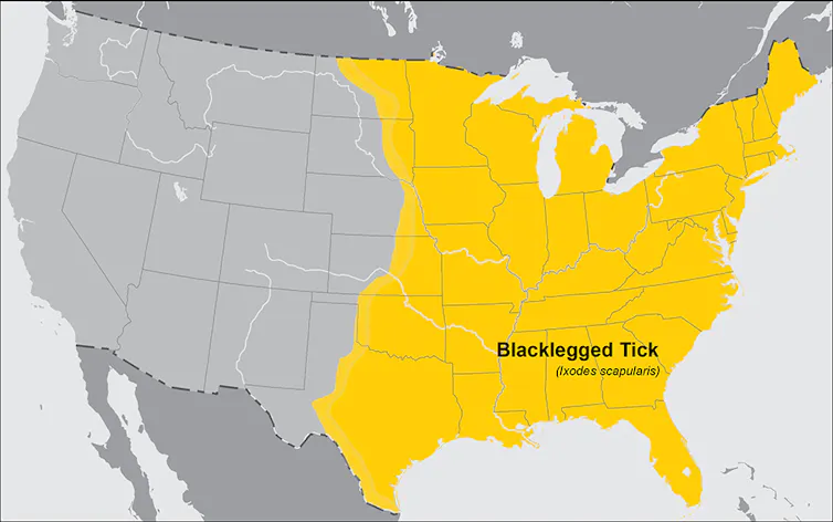 A map shows the wide range of the blacklegged tick, or deer tick, covering just about everything east of the Rockies.