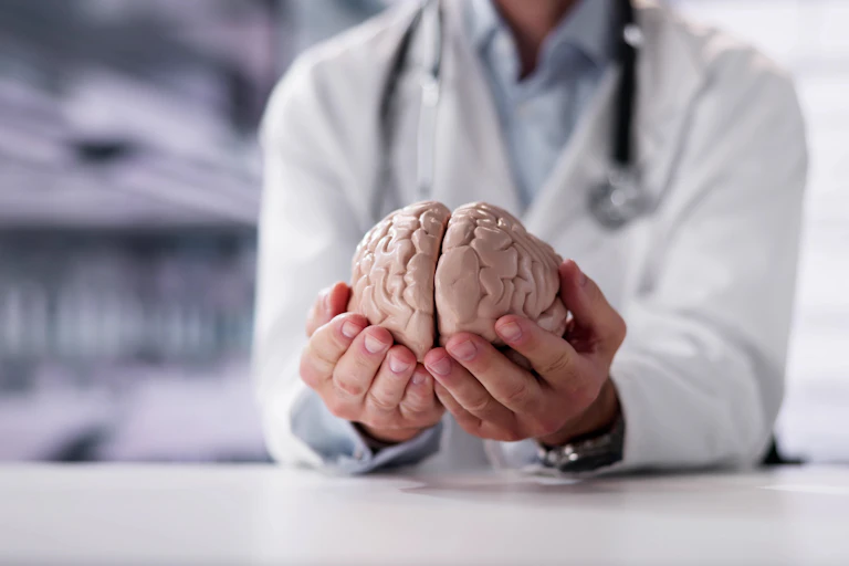 A person in a white lab coat holding a model of a human brain.