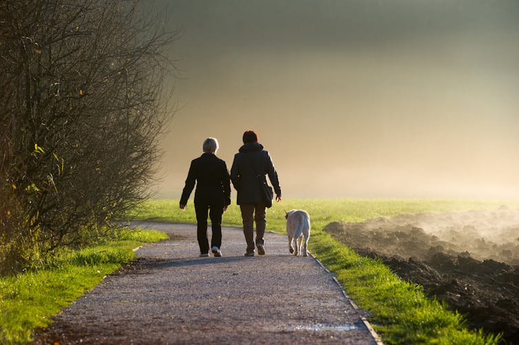 Two people walking a dog in the distance