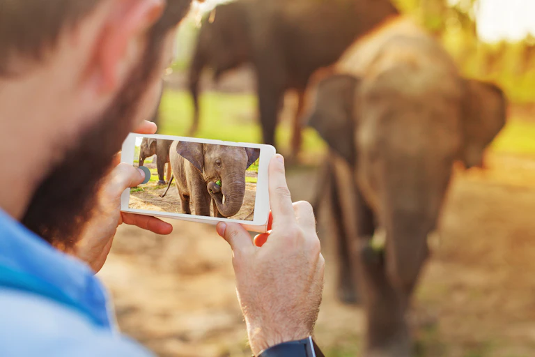 Man takes photo of elephant on his phone.